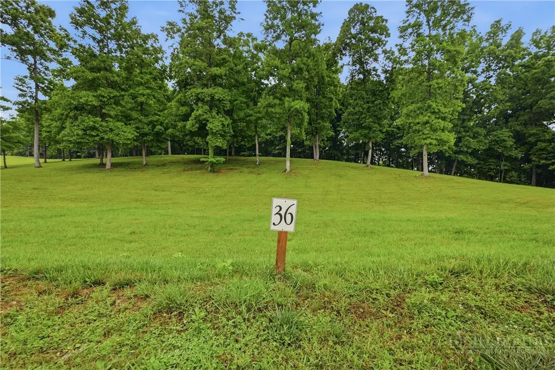 Image number 17 for the current listing