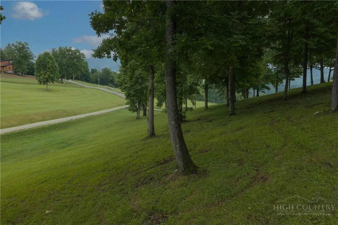 Image number 15 for the current listing