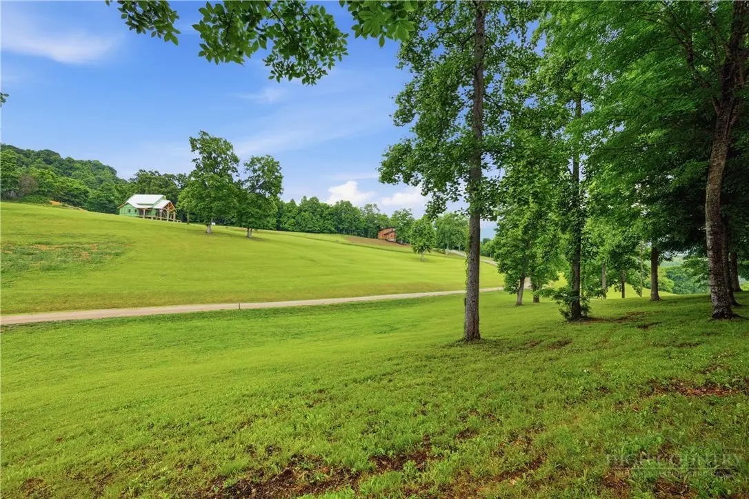 Image number 12 for the current listing