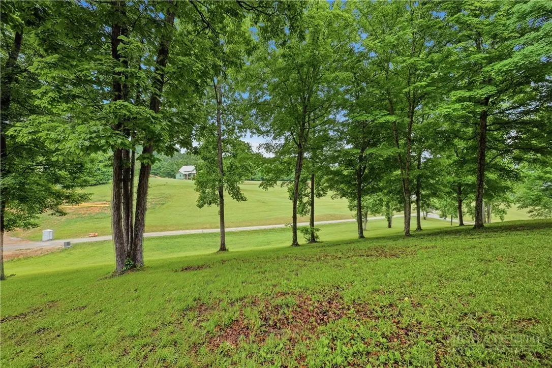 Image number 11 for the current listing