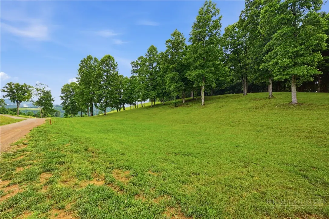 Image number 2 for the current listing