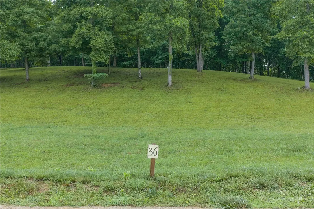 Image number 8 for the current listing