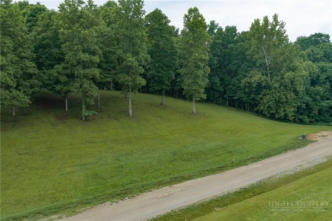 Image number 5 for the current listing