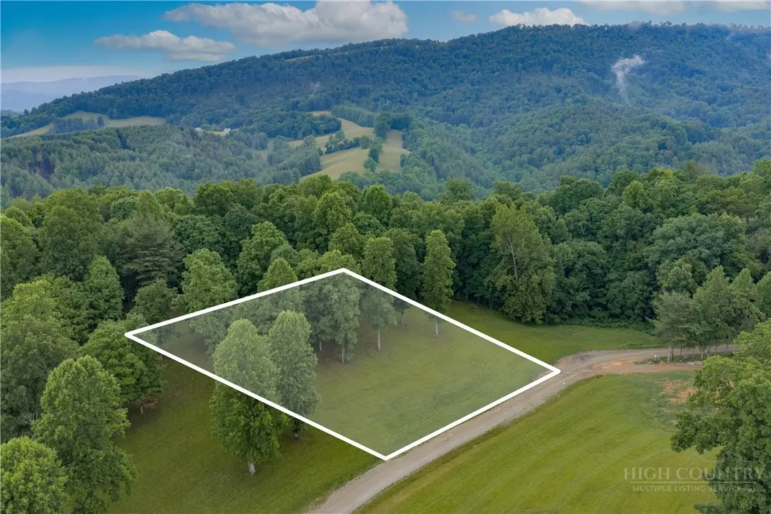 Image number 4 for the current listing