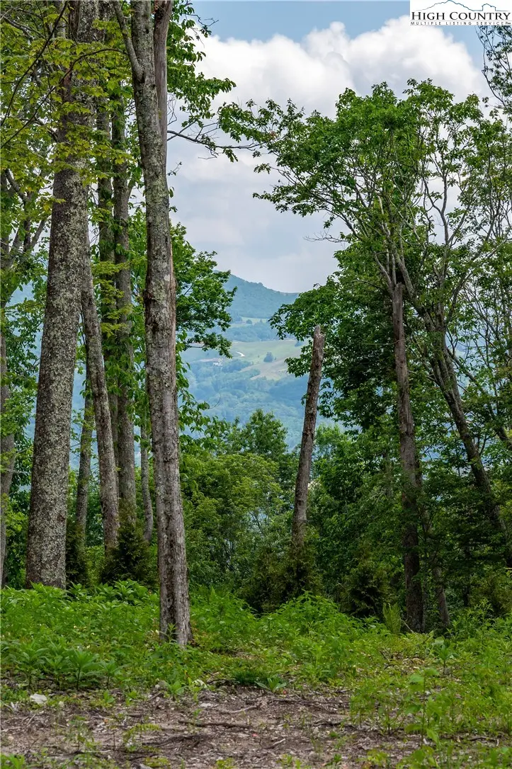 Image number 7 for the current listing