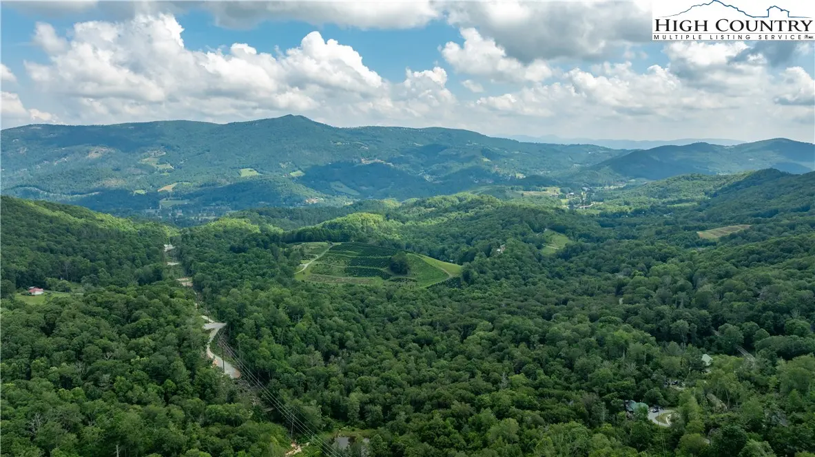 Image number 1 for the current listing
