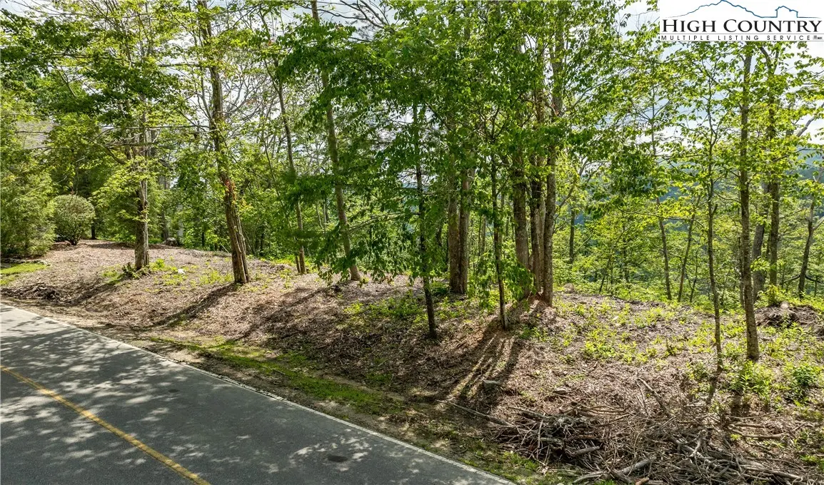 Image number 11 for the current listing