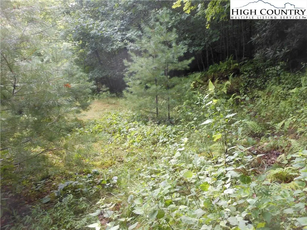 Image number 14 for the current listing