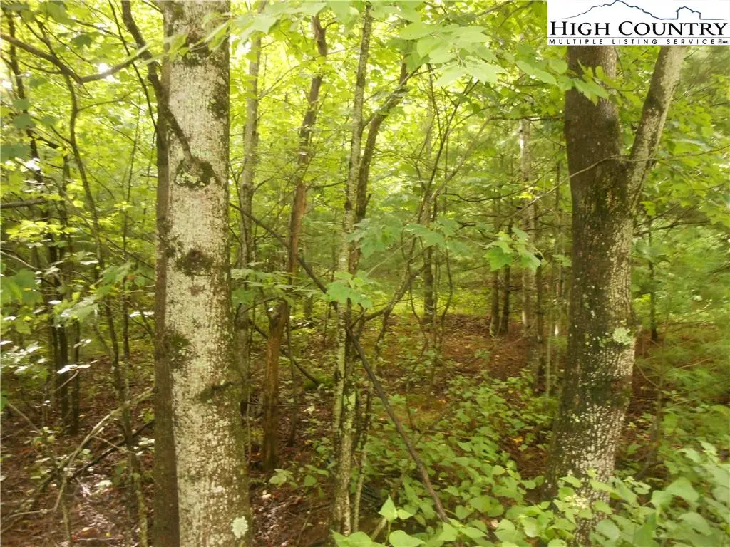 Image number 6 for the current listing