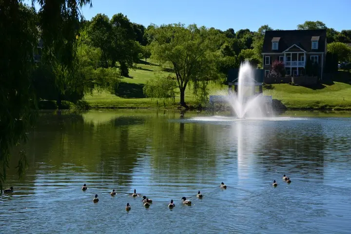 Image number 10 for the current listing