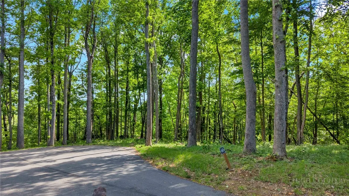 Image number 2 for the current listing