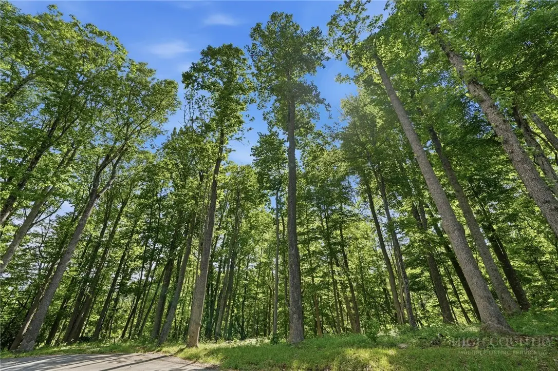 Image number 11 for the current listing