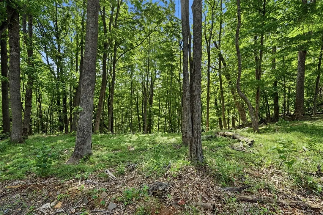 Image number 10 for the current listing