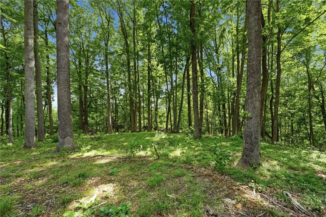 Image number 9 for the current listing