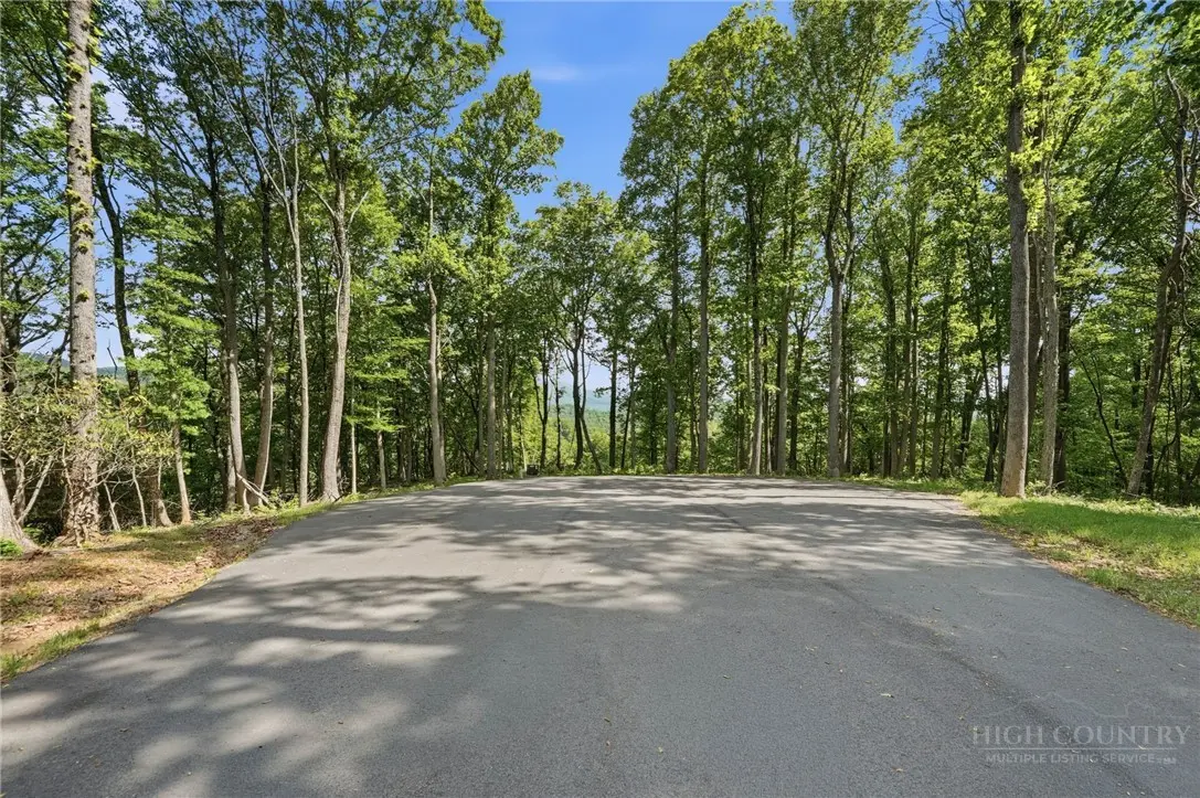 Image number 8 for the current listing