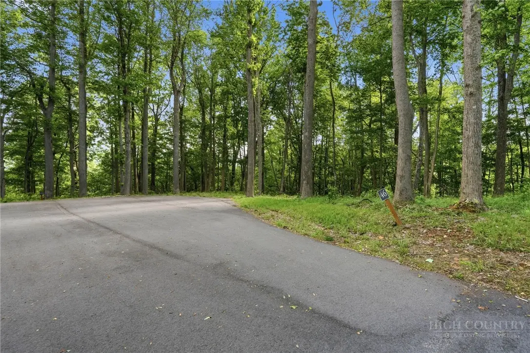 Image number 7 for the current listing