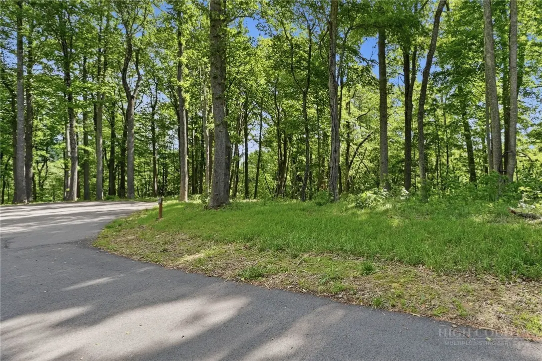 Image number 6 for the current listing