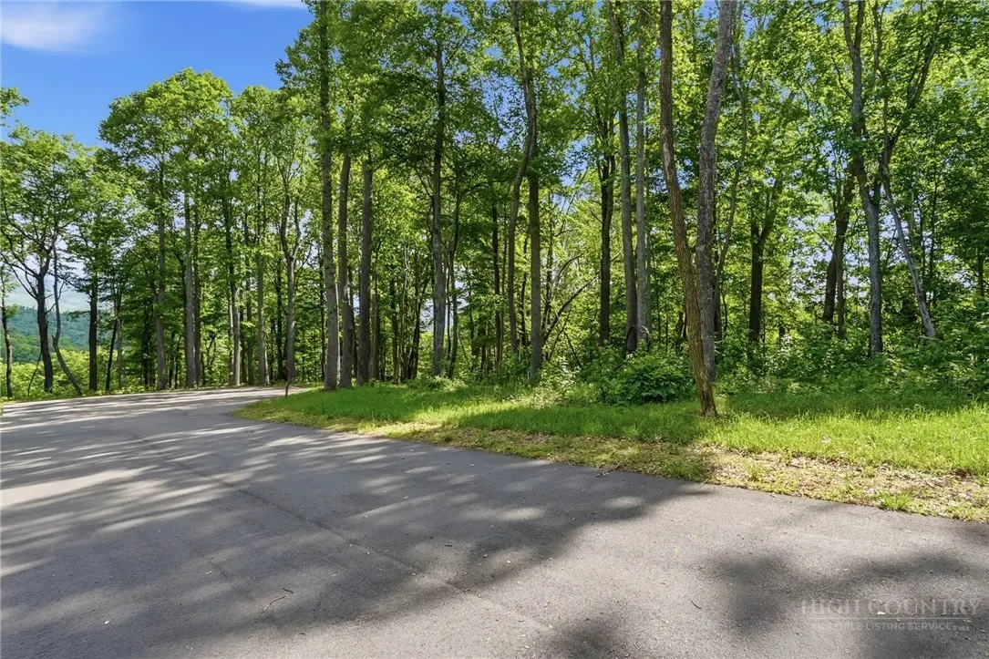 Image number 4 for the current listing