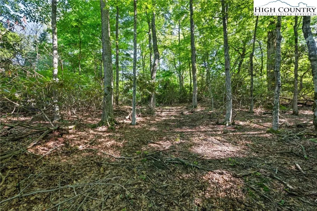 Image number 2 for the current listing