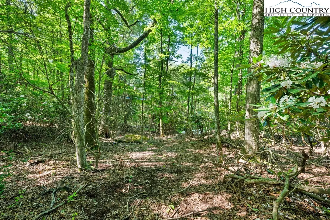 Image number 10 for the current listing