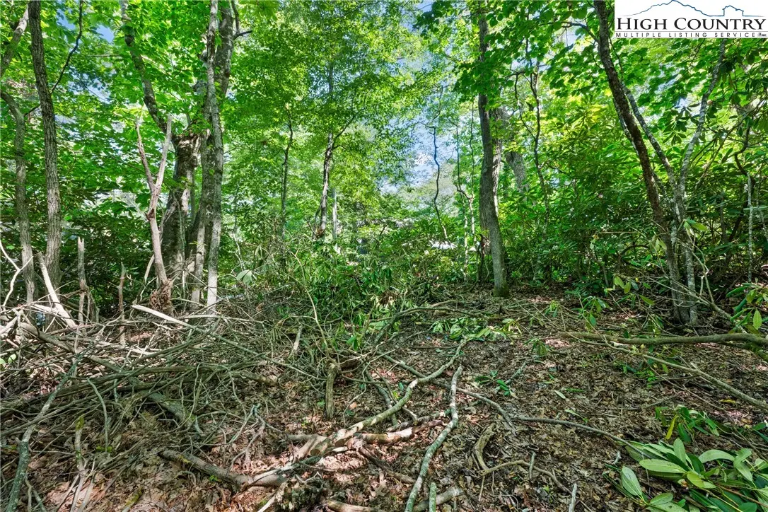Image number 9 for the current listing
