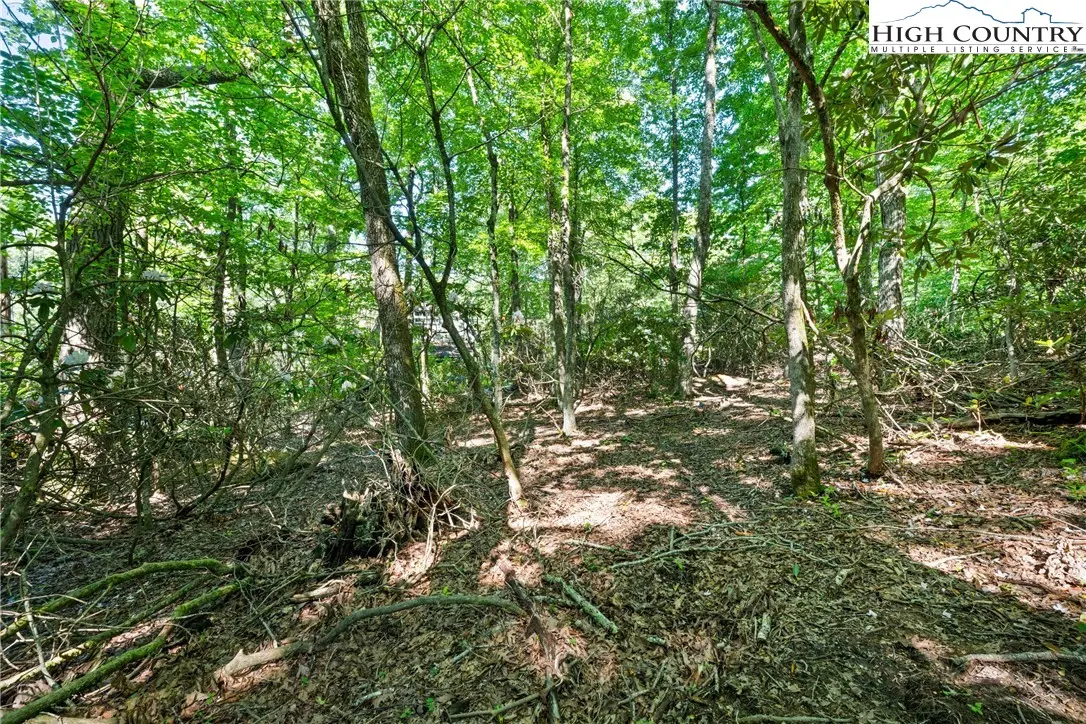 Image number 8 for the current listing
