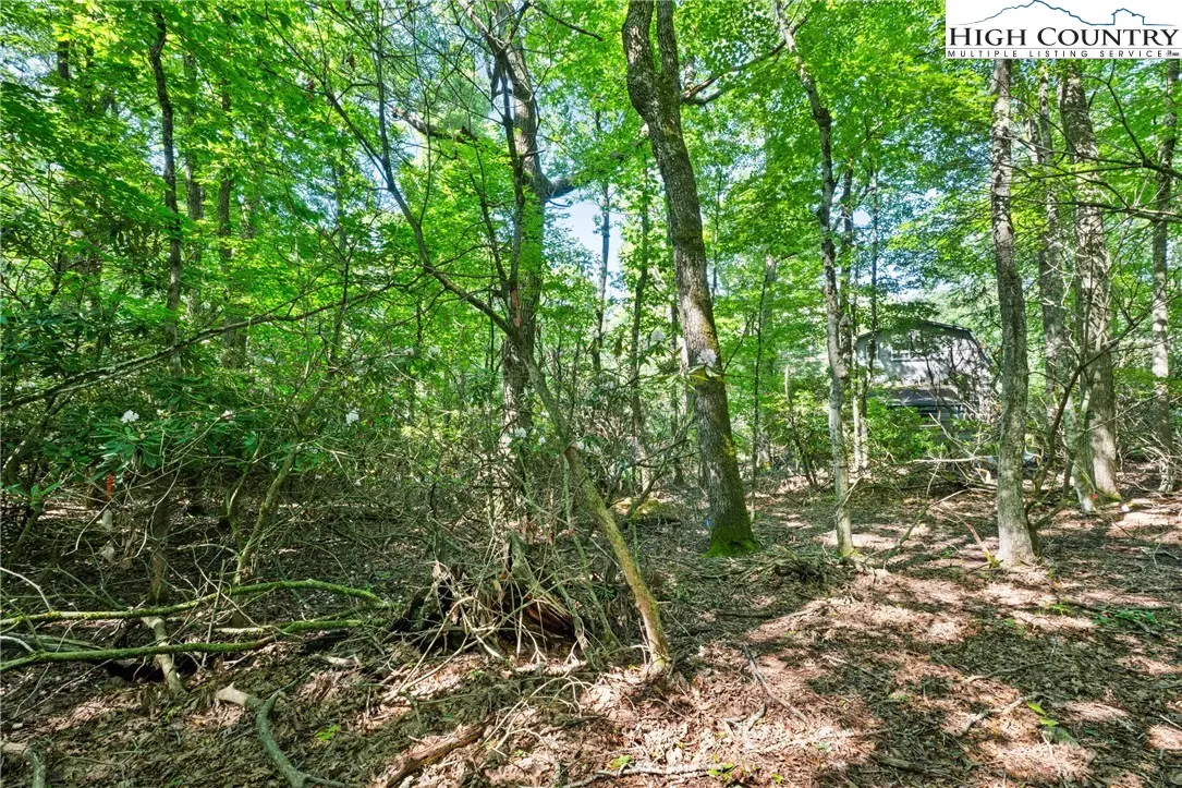 Image number 7 for the current listing