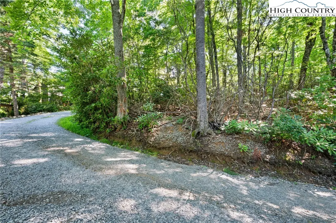 Image number 6 for the current listing