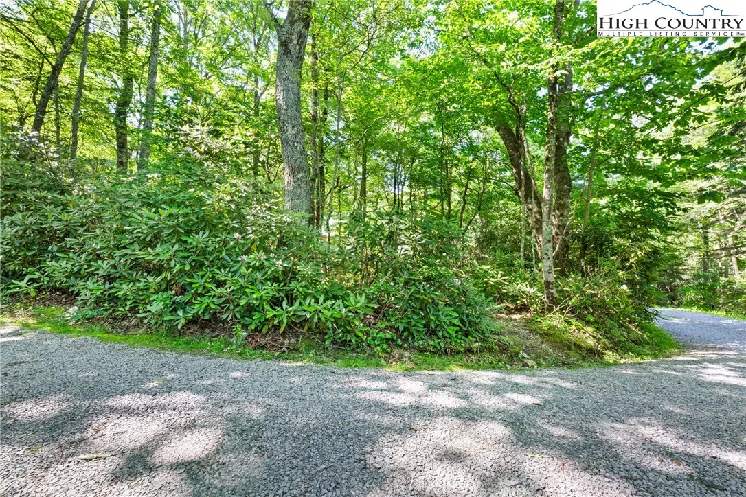 Image number 5 for the current listing