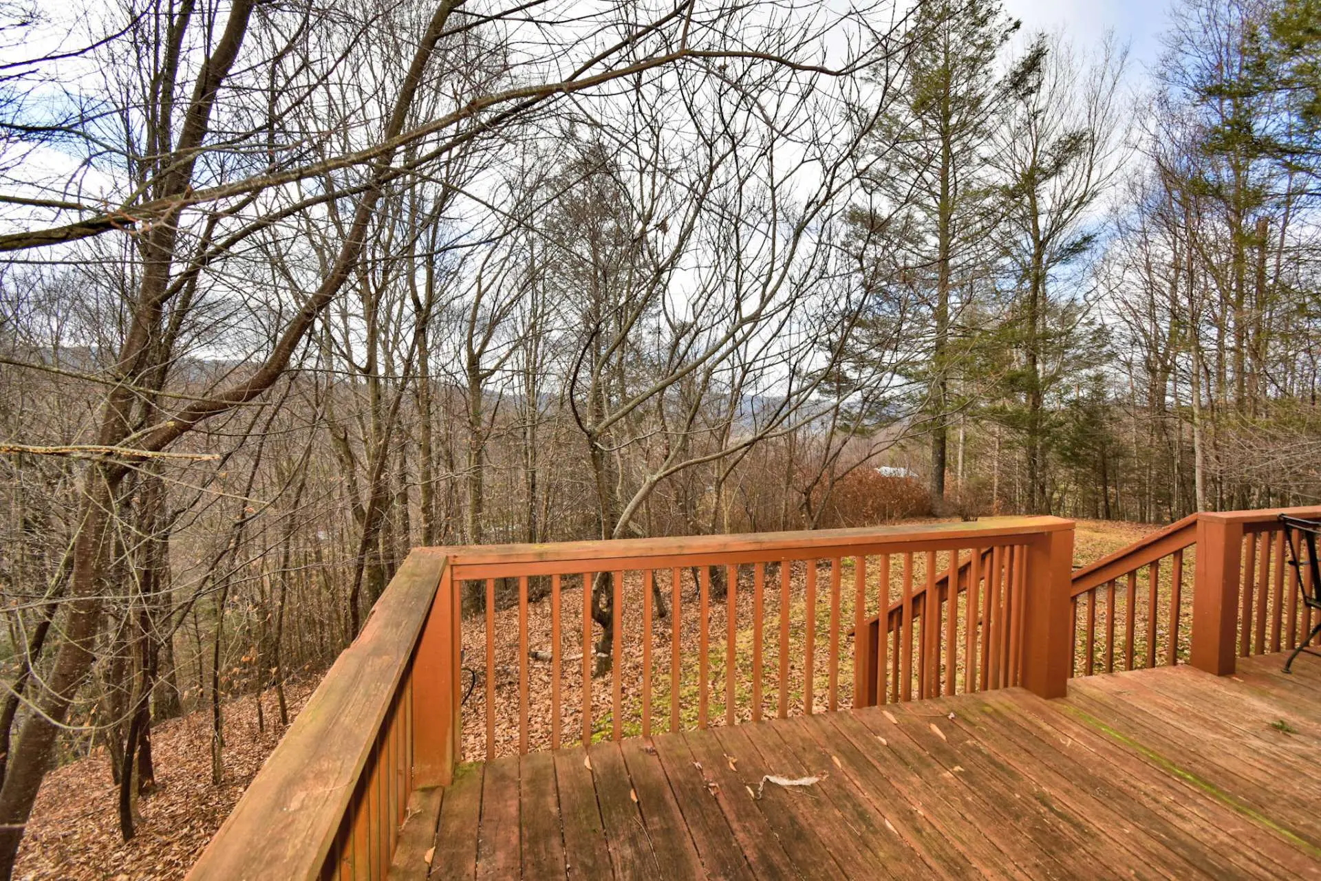 Image number 11 for the current listing