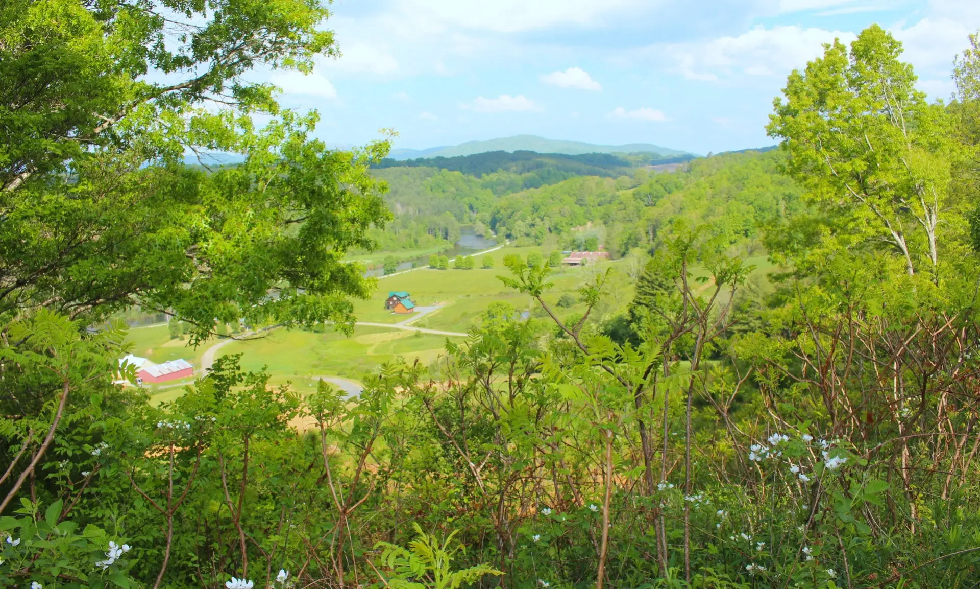 Image number 1 for the current listing