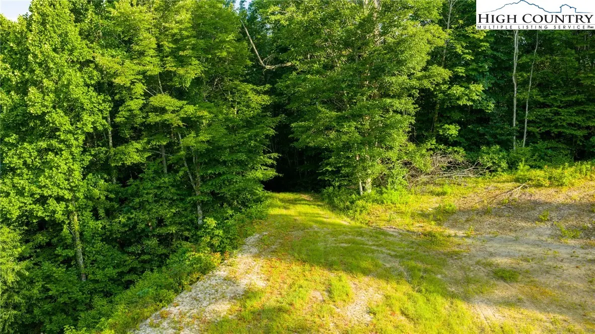 Image number 13 for the current listing
