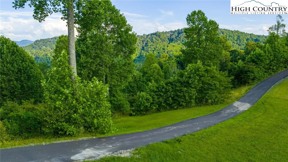 Image number 16 for the current listing