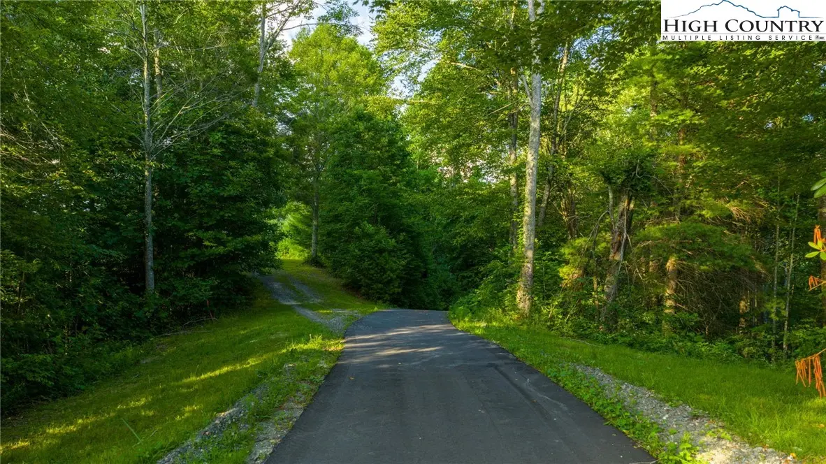 Image number 6 for the current listing