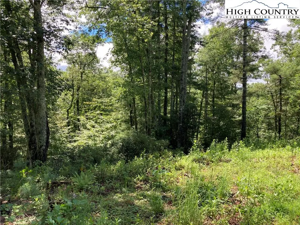 Image number 6 for the current listing