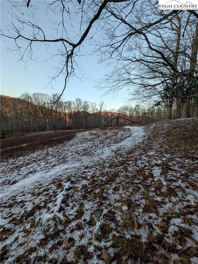 Image number 4 for the current listing