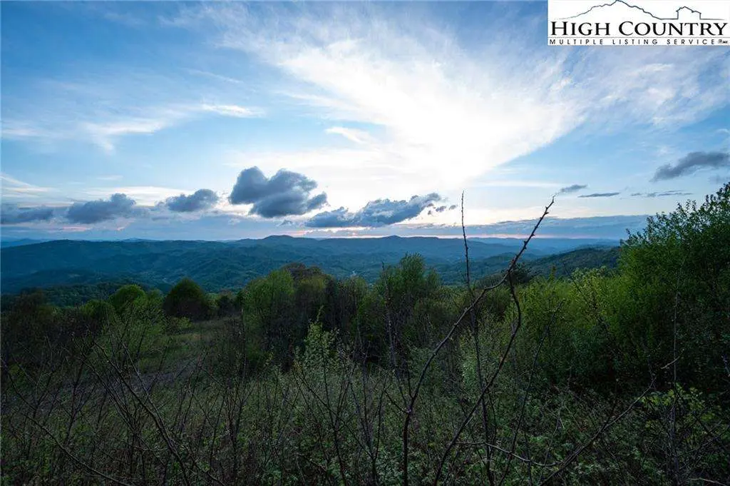 Image number 14 for the current listing
