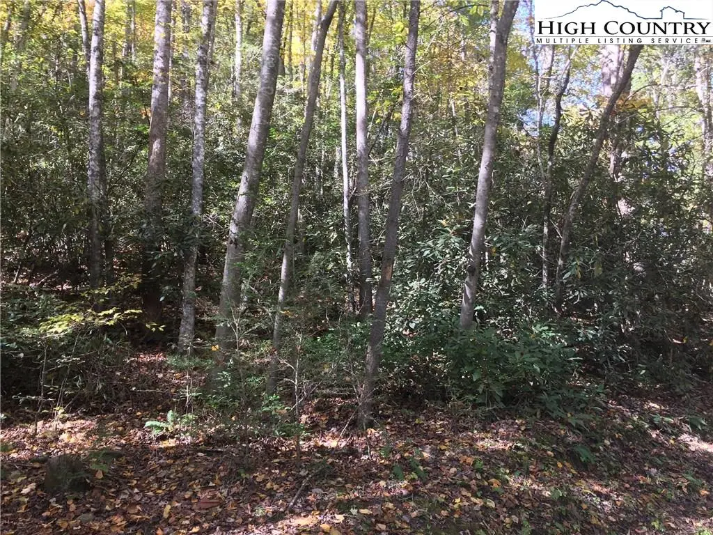 Image number 7 for the current listing