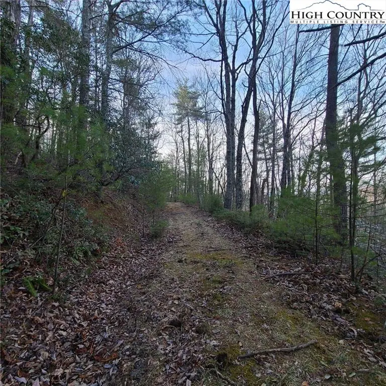 Image number 12 for the current listing