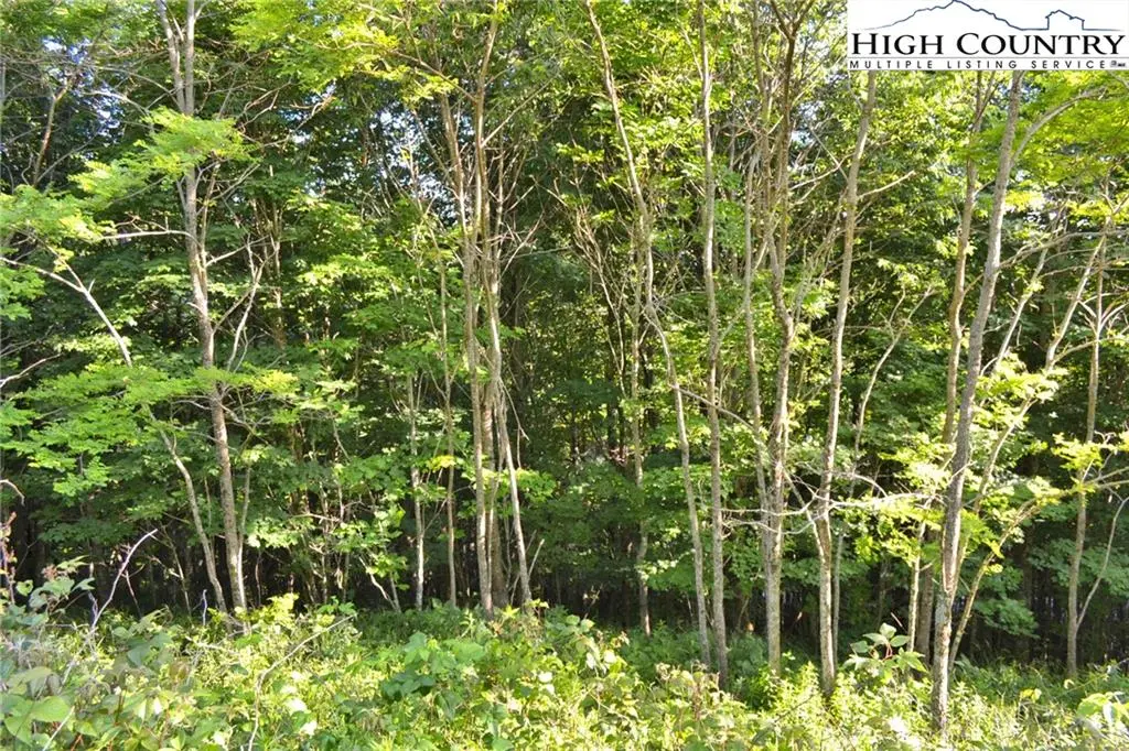 Image number 10 for the current listing