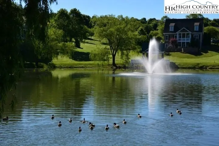 Image number 9 for the current listing