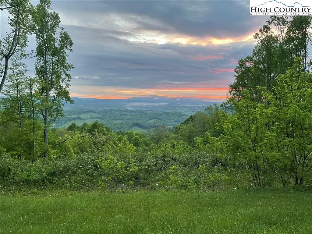Image number 1 for the current listing