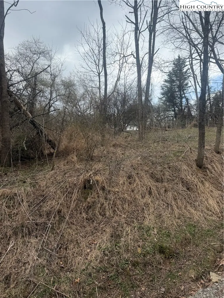 Image number 8 for the current listing