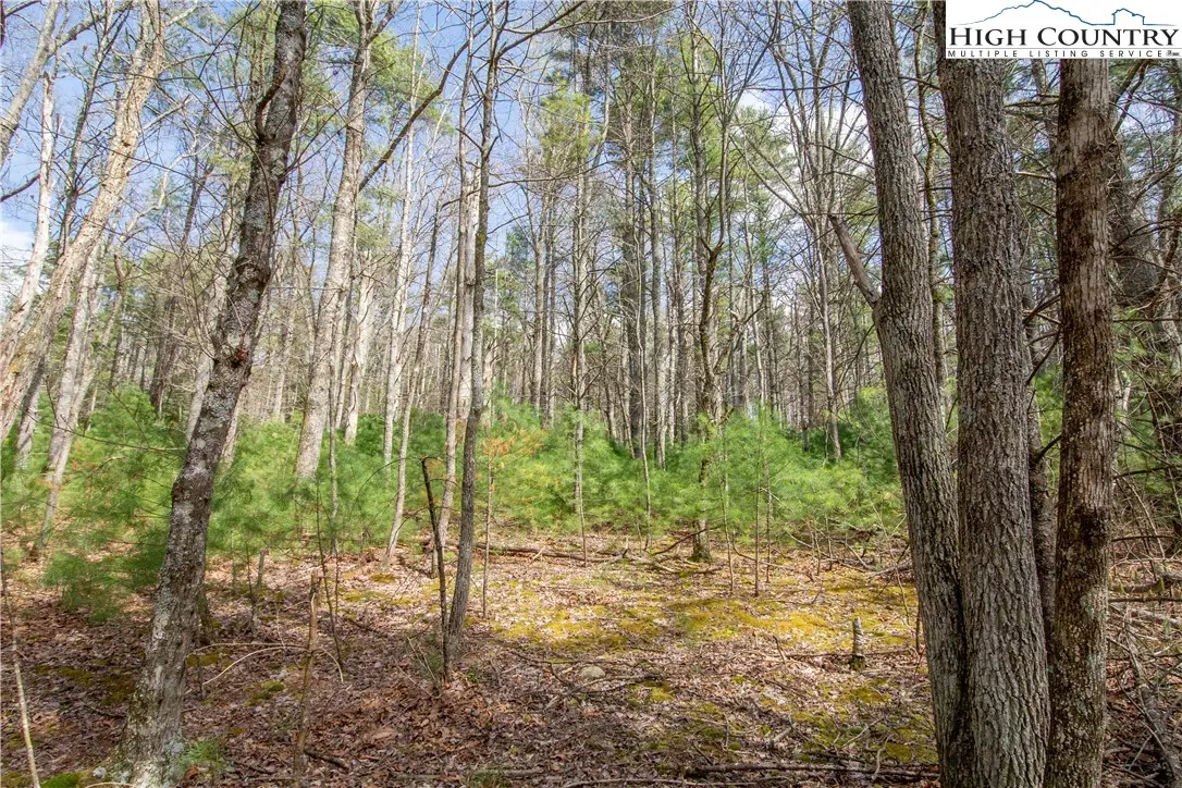 Image number 1 for the current listing