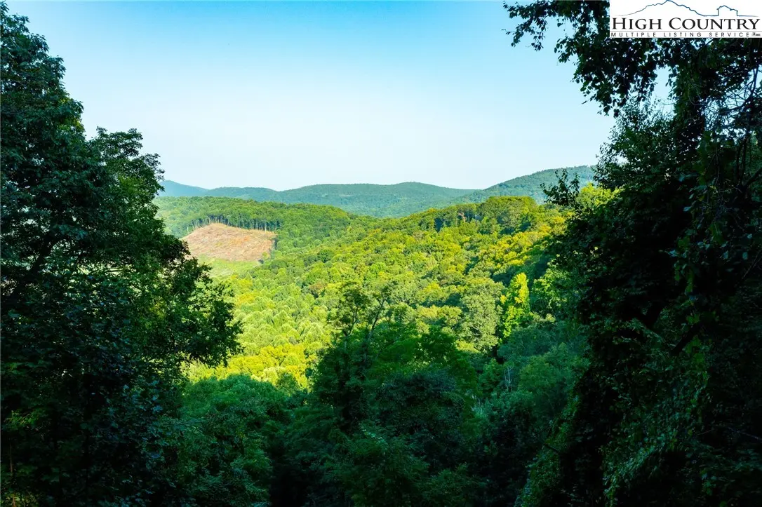 Image number 3 for the current listing