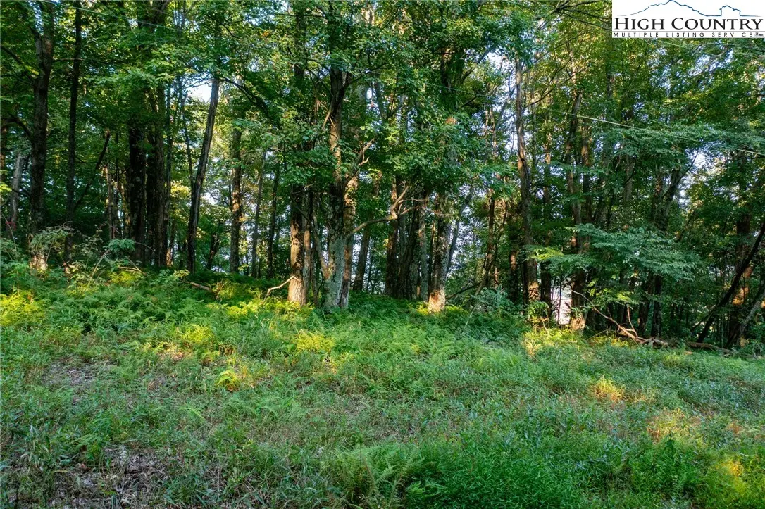 Image number 7 for the current listing