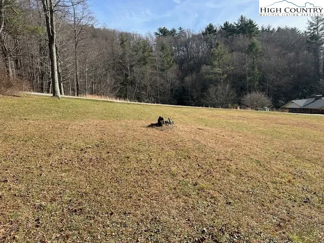 Image number 1 for the current listing