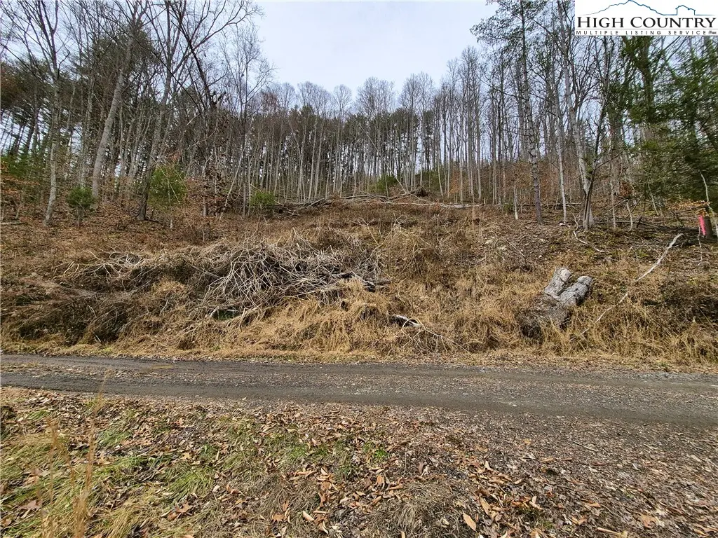 Image number 4 for the current listing