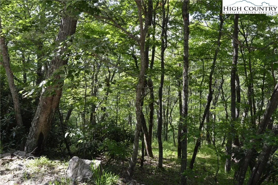 Image number 1 for the current listing