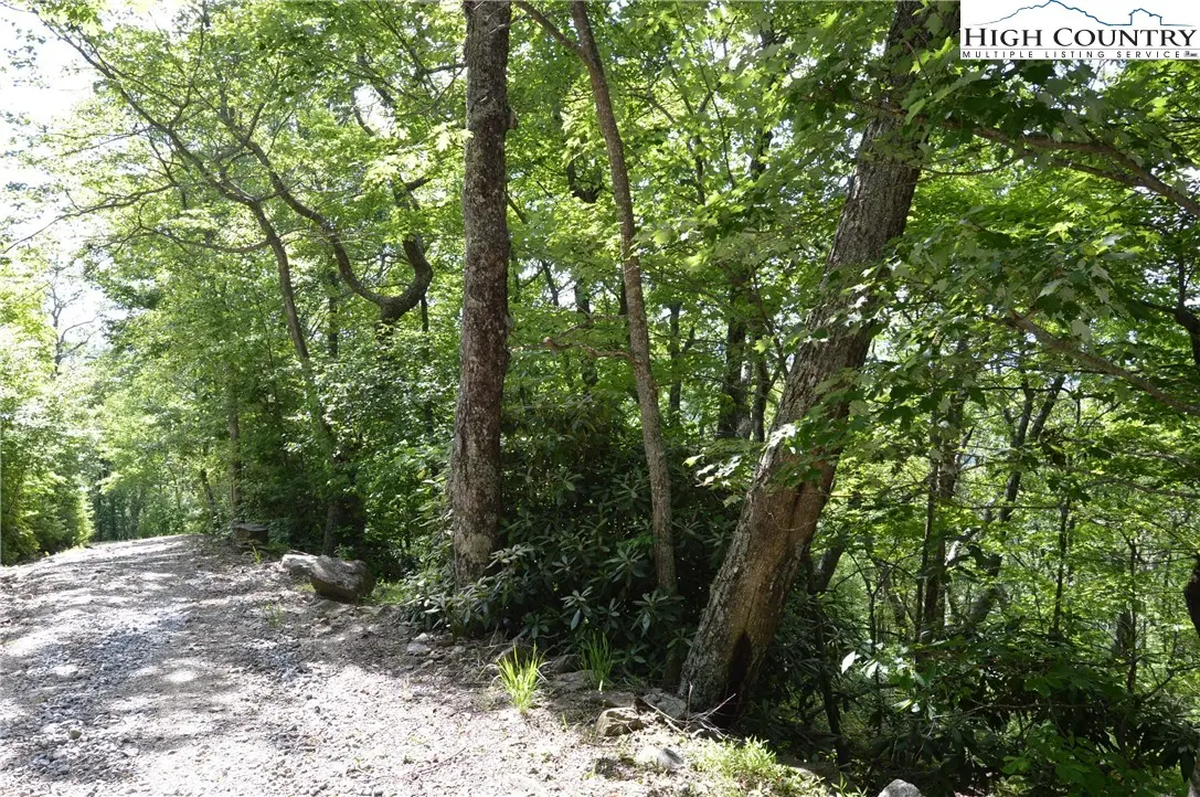 Image number 2 for the current listing